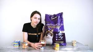 2 what do we mean by cheap, good food? Top 6 Best Cheap Cat Foods We Tested Them All Youtube