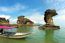 Continue your journey and witness turtle hatchery and get an idea of. Bako National Park With Lunch From Kuching 2021