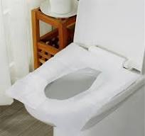 Disposable Toilet Seat Covers for Travel - 10 Pack Sanitary Paper Liners |  430x355mm Universal Size | Soft Wood Pulp PE Material | Individually ...