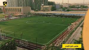 Wadi Degla Sporting Club تجديدات نادى وادى دجلة المعادى Facebook
