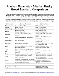 Studies Research Diet Disease Behavior Temperament