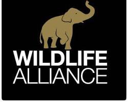Image of Wildlife Alliance in Cambodia