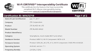 User id verification via mobile number capture & sms otp. Zte Blade A6 Lite Receives Wifi Certification Gsmarena Com News