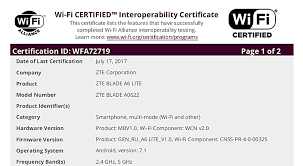 The fcc chooses 3 or 5 character grantee codes to identify. Zte Blade A6 Lite Receives Wifi Certification Gsmarena Com News