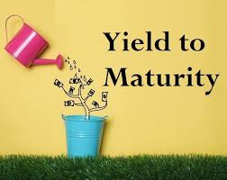 Hence the bond will pay interest of $2,500 every six. Pengertian Yield To Maturity Dan Cara Menghitungnya Obligasi