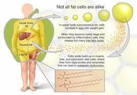 Pin On Macromolecules
