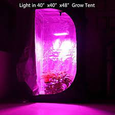 Incredibly intense light of this cob led is the coverage area of this grow light can be extended up to 10 sq ft. Higrow 1000w Double Chips Led Grow Light Full Spectrum Grow Lamp With Rope Hanger For Indoor Greenhouse Hydroponic P Led Grow Lights Grow Lights Plant Lighting
