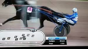 Här hittar du även våra populära andelsspel på atg tillsammans och vår. V75 Kalmar Dd 1 Zap Di Girifalco Youtube