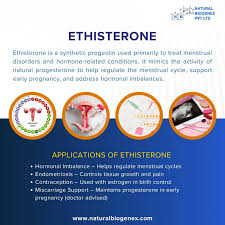 Image result for Progestin Activity