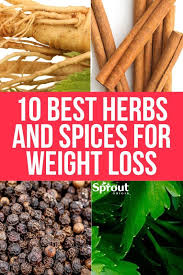 Pin On Lose Weight