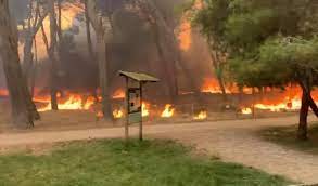 Fabio lussoso 28/06/2021 vigili del fuoco impegnati da oltre sei ore nelle operazioni di spegnimento di un incendio che si è sviluppato in tarda mattinata nelle campagne di rosciano. Go4n Ohjq9a3om