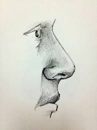 How To Draw A Nose Nose Drawing Profile Drawing Face Drawing