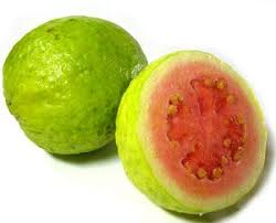 We did not find results for: White Indian Guava Guava Trees For Sale Guava Tree Guava Fruit Guava