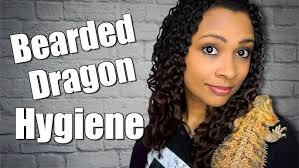 How to Clean a Bearded Dragon Cage