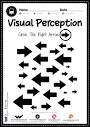 Visual Perception Skills Activity Worksheets - Free PDFs