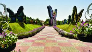 متعة الحياة بالألوان بحديقة الفراشات في دبي تعرف على أسعار الدخول