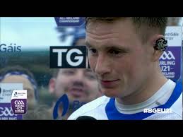 Austin Gleeson Interview