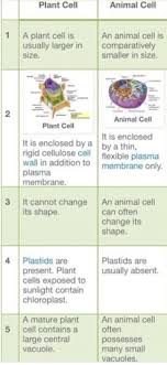 Maybe you would like to learn more about one of these? Here The Diagrams Arven Below Or Implant And Animal Cells Which Cell Organelles Are Exclusively Found Brainly In