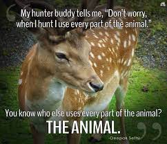 No Excuses Animals Matter Animal Rights Animal Activism