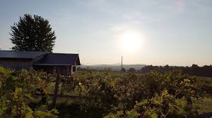 Vignoble Pigeon Hill House Styles House