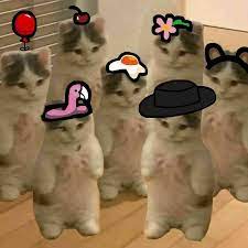 Amongus Cats Cat Kitty Amongas Koshki Estetika Amongaspikchi Memy Avatarka Avatarki Amonguspic Amongusgame Top Cute Memes Stupid Funny Memes Funny Memes