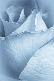 We did not find results for: 450 Pastel Blue Aesthetic Ideas In 2021 Blue Aesthetic Pastel Blue Light Blue Aesthetic