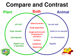 In this video we are giving an overview of cell structure and it's classification. Plant And Animal Cell Notes Notes