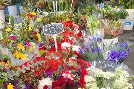 Maybe you would like to learn more about one of these? Little Italy Mercato S Shopping Guide