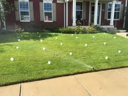 Water the hydroseed lawn three times a day for 15 minutes each time. How To Properly Water Your Lawn During The Summer