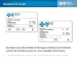 Blue cross blue shield dental of michigan. Blue Cross Blue Shield Of Michigan Blue Care
