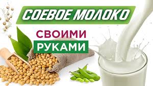 как в домашних условиях из сои сделать соевое молоко Kak Prigotovit Soevoe Moloko V Domashnih Usloviyah V Blendere Youtube