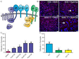 High throughput electrophysiological purification array (hepa) for cell based therapies abstract: The Hsv 1 Mechanisms Of Cell To Cell Spread And Fusion Are Critically Dependent On Host Ptp1b