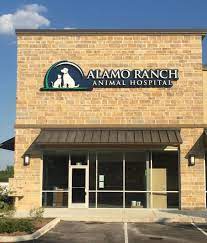 My pets vet san antonio. Cityvet S Second San Antonio Acquisition In Three Months Cityvet