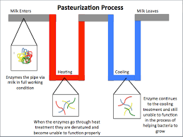 Pasteurization Wikiwand