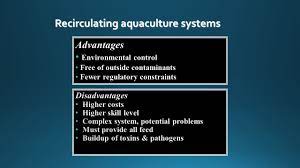 Photograph By Hboi Fisheries Stock Enhancement Bait Production Ornamentals Biomedical Photograph By Hboi Ppt Download