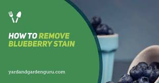 One way to get out the stains is to soak the clothing in a mixture of 1 tablespoon of white vinegar, 1/2 teaspoon of laundry detergent, and 1 quart of cold water for 15 minutes. How To Remove Blueberry Stain