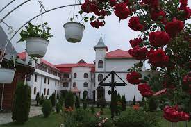 Andra, momente grele înainte de crăciun. Ce Sa Facem Cu Batrinii Ramasi Acasa Servicii Romanesti In Uniunea Europeana