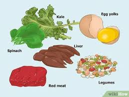 Tembikai adalah salah satu 'super food' dan makanan tambah darah yang kurang diketahui ramai. 3 Cara Untuk Meningkatkan Jumlah Sel Darah Merah Wikihow