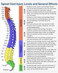 Download Spinal Cord Injury Levels Png Image For Free The 962x1098 Transparent Png Image Is Spinal Cord Injury Levels Spinal Cord Injury Injury Rehabilitation