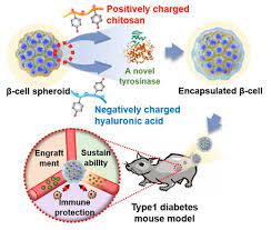 Investing ideas, stock information, fundamental analysis, technical analysis on nanofilm ($nanofilm(mzh.si)) from se asia's most active stock investing community. Developing A Nanofilm Based Cell Cage Technology