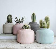 Colour Scheme Idea Modern Pastels Pastel Home Decor Indoor Cactus Plants Pastel House