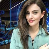 60 Gozde Arslan Profiles Linkedin