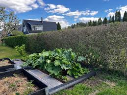 Image result for site:byggahus.se Alingsås