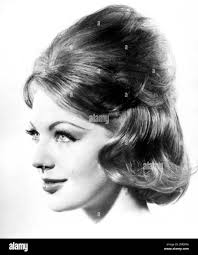 Bob cone hi-res stock photography and images