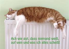 Das leben ist ein wiki. Postkarte A6 Lustig Ach Wie Gut Ceres Webshop
