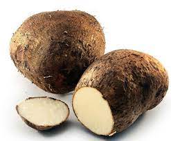 Costa Rican White Yam Or Name Root Tropical Root Vegetable Root Vegetables White Yam Yams