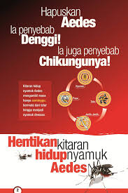 Jangkitan oleh salah satu jenis virus akan memberikan imuniti. Tempat Pembiakan Nyamuk Aedes Bahagian Pendidikan Kkm Msiaendsdengue The Malaysian Medical Gazette