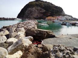 Datteri di mare, datterari, sub, vongole e pali. Sant Angelo La Scogliera E Il Dattero Vietato Il Golfo 24