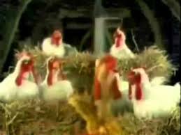 The Muppet Show Chickens Quot Happy Birthday To You Quot Youtube Geburtstagsvideo Fur Whatsapp Geburtstagsgrusse Geburtstagslieder
