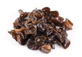 We did not find results for: 139 200 Fungus Fungi Stock Photos And Images 123rf